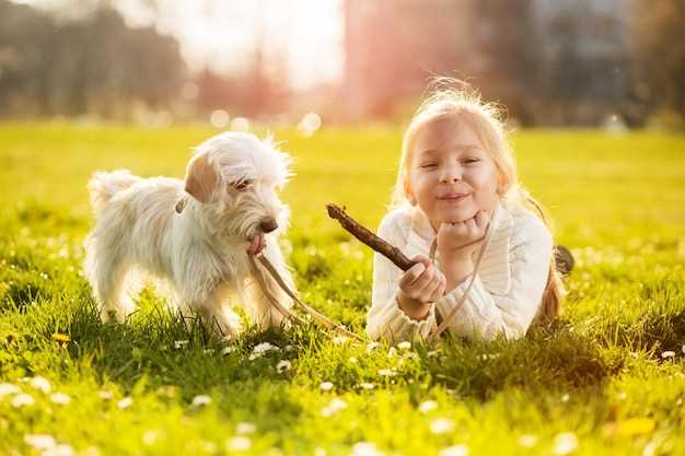 Barbet och barn - En perfekt familjehund?