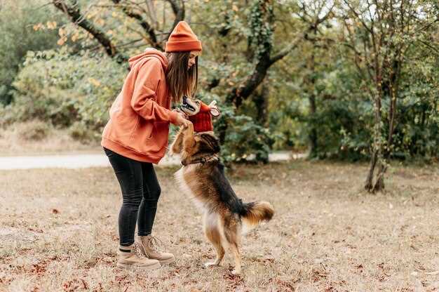 Experttips för hundträning av Barbet så får du din hund att lyda