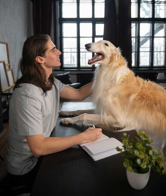 Förbered dig för valpens ankomst med vår kompletta checklista för nya hundägare